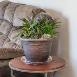 Vigoro 14 in. Heavy Duty Plant Saucer 12 Vigoro 14 in. Heavy Duty Plant Saucer -VIGORO Store vigoro planter saucers sp14vg 44 1000