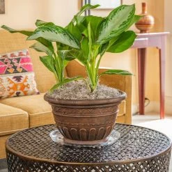 Vigoro 14 in. Heavy Duty Plant Saucer 10 Vigoro 14 in. Heavy Duty Plant Saucer -VIGORO Store vigoro planter saucers sp14vg 4f 1000