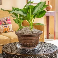 Vigoro 14 in. Heavy Duty Plant Saucer 13 Vigoro 14 in. Heavy Duty Plant Saucer -VIGORO Store vigoro planter saucers sp14vg fa 1000