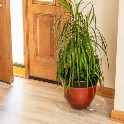 Vigoro 16 in. Heavy Duty Planter Saucer 11 Vigoro 16 in. Heavy Duty Planter Saucer -VIGORO Store vigoro planter saucers sp16vg 44 1000