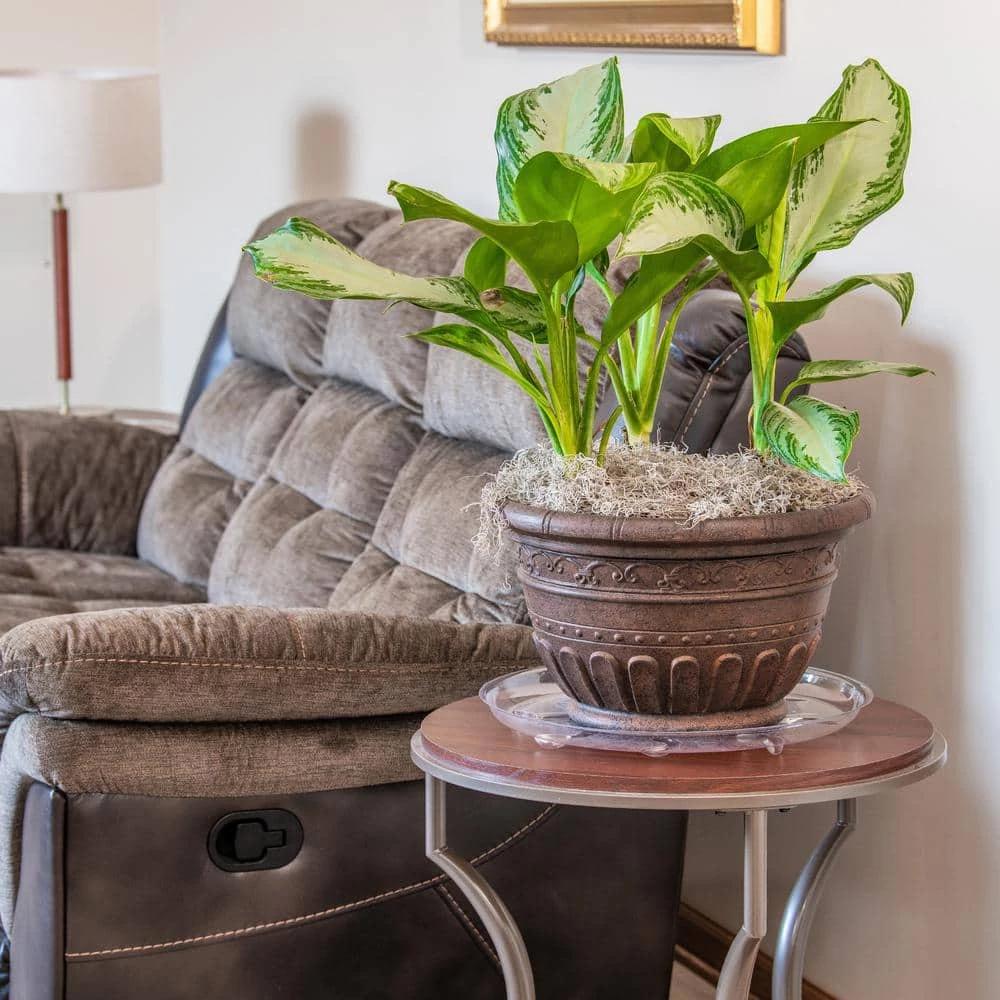 Vigoro 16 in. Heavy Duty Planter Saucer 4 Vigoro 16 in. Heavy Duty Planter Saucer - Image 2