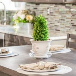 Vigoro 6 in. Heavy Duty Plant Saucer -VIGORO Store vigoro planter saucers sp6vg 1f 1000