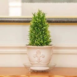 Vigoro 8 in. Heavy Duty Plant Saucer 9 Vigoro 8 in. Heavy Duty Plant Saucer -VIGORO Store vigoro planter saucers sp8vg 1f 1000