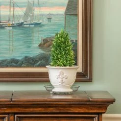 Vigoro 8 in. Heavy Duty Plant Saucer 10 Vigoro 8 in. Heavy Duty Plant Saucer -VIGORO Store vigoro planter saucers sp8vg 44 1000