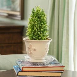 Vigoro 8 in. Heavy Duty Plant Saucer 11 Vigoro 8 in. Heavy Duty Plant Saucer -VIGORO Store vigoro planter saucers sp8vg fa 1000