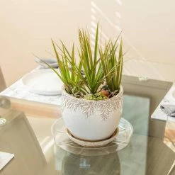 Vigoro 12 in. Plastic Plant Saucer -VIGORO Store vigoro planter saucers vs12vg 44 1000