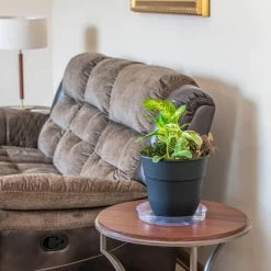 Vigoro 12 in. Plastic Plant Saucer -VIGORO Store vigoro planter saucers vs12vg 4f 1000