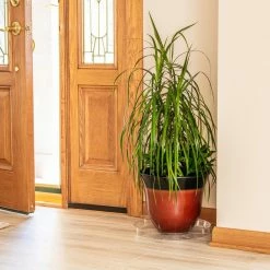 Vigoro 14 in. Plastic Plant Saucer 10 Vigoro 14 in. Plastic Plant Saucer -VIGORO Store vigoro planter saucers vs14vg 1f 1000