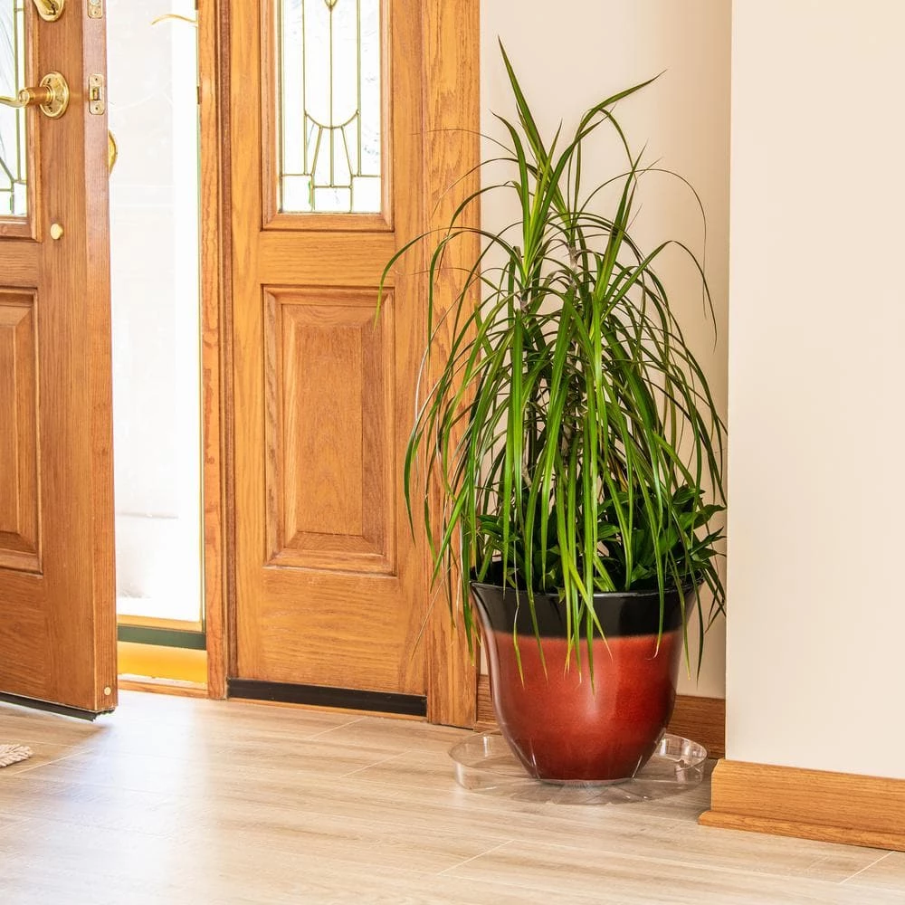 Vigoro 14 in. Plastic Plant Saucer 6 Vigoro 14 in. Plastic Plant Saucer - Image 4