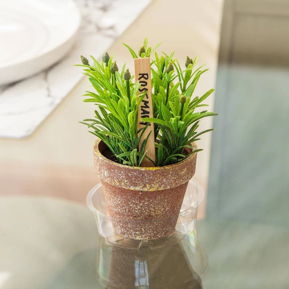 Vigoro 4 in. Plastic Plant Saucer 6 Vigoro 4 in. Plastic Plant Saucer - Image 4