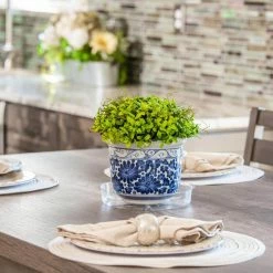 Vigoro 6 in. Plastic Plant Saucer -VIGORO Store vigoro planter saucers vs6vg 1f 1000