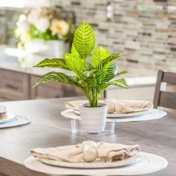 Vigoro 6 in. Plastic Plant Saucer -VIGORO Store vigoro planter saucers vs6vg 4f 1000