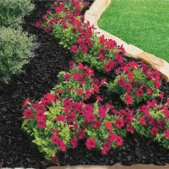 Vigoro 37.5 cu. ft. Black Recycled Rubber Mulch (25 Bags) 14 Vigoro 37.5 cu. ft. Black Recycled Rubber Mulch (25 Bags) -VIGORO Store vigoro rubber mulch gn15bk25 c3 1000