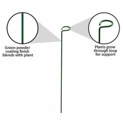 Vigoro 18 in. H x 1.50 in. W Steel Plant Prop 17 Vigoro 18 in. H x 1.50 in. W Steel Plant Prop -VIGORO Store vigoro tomato cages 611872 hd 1f 1000