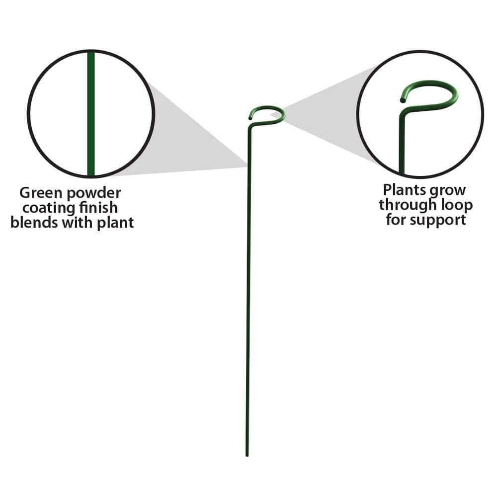 Vigoro 18 in. H x 1.50 in. W Steel Plant Prop 8 Vigoro 18 in. H x 1.50 in. W Steel Plant Prop - Image 6