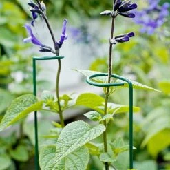 Vigoro 18 in. H x 1.50 in. W Steel Plant Prop 18 Vigoro 18 in. H x 1.50 in. W Steel Plant Prop -VIGORO Store vigoro tomato cages 611872 hd 44 1000