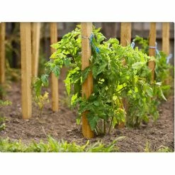 Vigoro 5 ft. Wooden Garden Stake 8 Vigoro 5 ft. Wooden Garden Stake -VIGORO Store vigoro tomato cages rc 85n 4f 1000