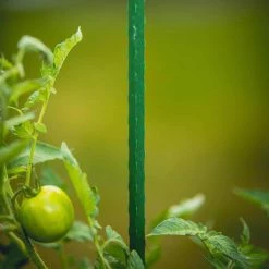 Vigoro 3 ft. Green Colored Steel Core Garden Stake -VIGORO Store vigoro tomato cages st3vg 76 1000
