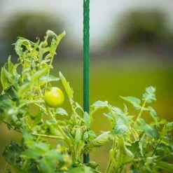 Vigoro 4 ft. Green Colored Steel Core Garden Stake 17 Vigoro 4 ft. Green Colored Steel Core Garden Stake -VIGORO Store vigoro tomato cages st4vg 76 1000