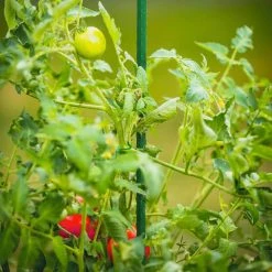 Vigoro 5 ft. Green Colored Steel Core Garden Stake 19 Vigoro 5 ft. Green Colored Steel Core Garden Stake -VIGORO Store vigoro tomato cages st5vg 76 1000