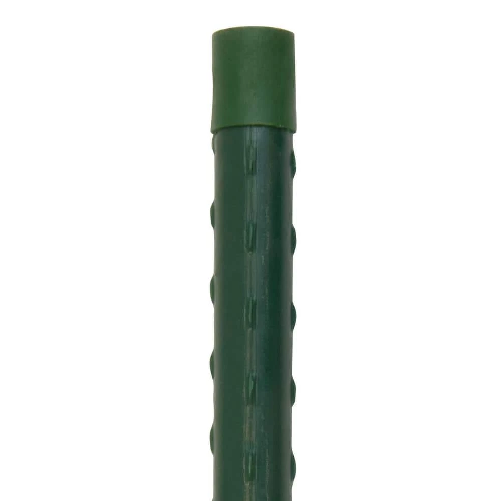 Vigoro 6 ft. Green Colored Heavy Duty Steel Core Garden Stakes 7 Vigoro 6 ft. Green Colored Heavy Duty Steel Core Garden Stakes - Image 5