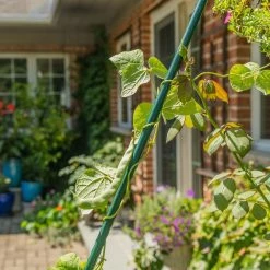 Vigoro 6 ft. Green Colored Heavy Duty Steel Core Garden Stakes 10 Vigoro 6 ft. Green Colored Heavy Duty Steel Core Garden Stakes -VIGORO Store vigoro tomato cages st6hdvg 4f 1000