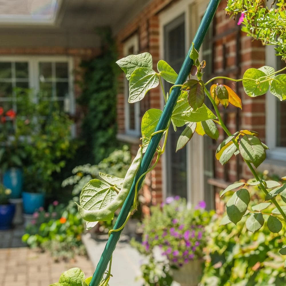Vigoro 6 ft. Green Colored Heavy Duty Steel Core Garden Stakes 5 Vigoro 6 ft. Green Colored Heavy Duty Steel Core Garden Stakes - Image 3