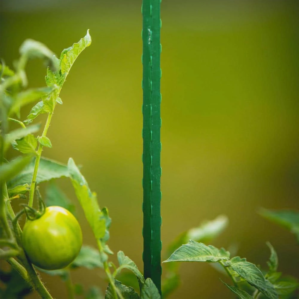 Vigoro 6 ft. Green Colored Steel Core Garden Stake 4 Vigoro 6 ft. Green Colored Steel Core Garden Stake - Image 2