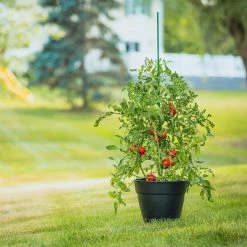 Vigoro 6 ft. Green Colored Steel Core Garden Stake 15 Vigoro 6 ft. Green Colored Steel Core Garden Stake -VIGORO Store vigoro tomato cages st6vg c3 1000