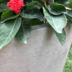 KANTE 31 in. L Rectangular Weathered Concrete/Fiberglass Indoor Outdoor Elegant Planter 18 KANTE 31 in. L Rectangular Weathered Concrete/Fiberglass Indoor Outdoor Elegant Planter -VIGORO Store weathered concrete kante plant pots osf0104b c80021 2 44 1000