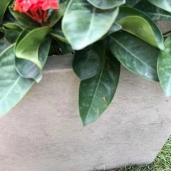 KANTE 31 in. L Rectangular Weathered Concrete/Fiberglass Indoor Outdoor Elegant Planter 19 KANTE 31 in. L Rectangular Weathered Concrete/Fiberglass Indoor Outdoor Elegant Planter -VIGORO Store weathered concrete kante plant pots osf0104b c80021 2 fa 1000