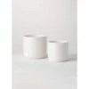 SULLIVANS White Ceramic Planter (Set of 2) 1 SULLIVANS White Ceramic Planter (Set of 2) -VIGORO Store white sullivans plant pots cm2952 64 1000