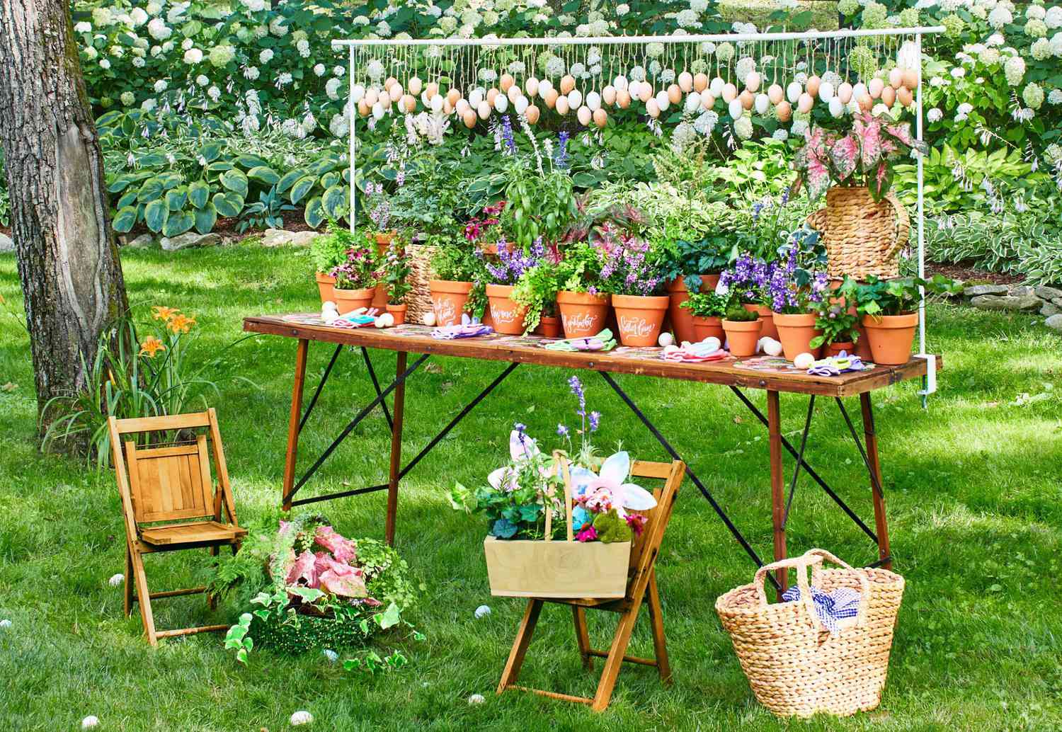 Vigoro sales Store -VIGORO Store 5648