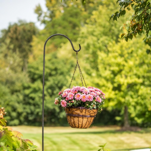 Vigoro sales Store -VIGORO Store 989